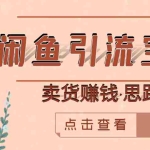 （2709期）闲鱼引流宝妈粉+卖货赚钱 一个月收益30000+（实操视频教程）