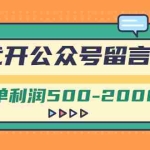 (2703期)外面卖1799的代开公众号留言号项目,一单利润500-2000元【视频教程】