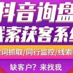 (2692期)【高端精品】外面卖888的短视频询盘获客采集系统【无限采集+永久使用】