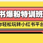 (2690期)小红书爆粉特训班5.0,助你轻松玩转小红书平台价值1380元