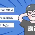 (2683期)京东短视频带货正规项目:每天操作1小时 无脑搬运 日收益100+玩法!