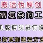 (2681期)5月刚出来的最新:抖音+快手搬运技术,无需复杂工具,纯小白可操作