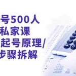 (2657期)新号起号500人在线私家课,1天极速起号原理/策略/步骤拆解(最新)