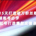 (2656期)如何15天打造破万粉丝账号:短视频账号必学,31节起号打造爆款实操课