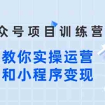(2633期)蓝海公众号项目训练营,手把手教你实操运营公众号和小程序变现