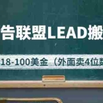 (2616期)外面卖4位数的国外广告联盟LEAD搬砖教程,日入18-100美金(教程+软件)