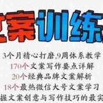 （2603期）《文案训练营》全面系统解决文案写作难题