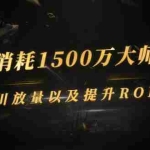 (2597期)单月消耗1500万大师教你:巨量千川放量以及提升ROI的节奏