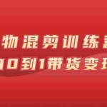(2598期)万三好物混剪训练营:小白0到1带货变现课