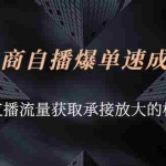 (2584期)电商自播爆单速成班:解密直播流量获取承接放大的核心密码