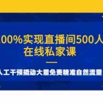 (2577期)100%实现直播间500人在线私家课,人工干预撬动大量免费精准自然流量