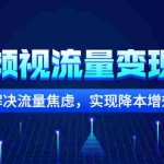 (2567期)短频视流量变现课:解决流量焦虑,实现降本增效
