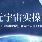 (2566期)元宇宙实操课:你打工30年赚的钱,在元宇宙里1天就能赚到
