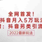 (2555期)某付费文章:全网首发!我抖音月入5万玩法?附赠:抖音另类引流思路