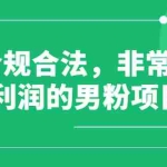 (2552期)合规合法,非常高利润的男粉项目(价值398元)