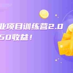(2549期)微头条副业项目训练营2.0:单号30-50收益!