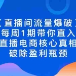(2542期)【直播间流量爆破】每周1期带你直入直播电商核心真相,破除盈利瓶颈