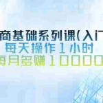 (2534期)虚拟电商基础系列课(入门必修),每天操作1小时,每月多赚10000