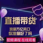 (2522期)【及至专享】DY赋能系统星课程,流量万亿风口,你准备好了吗