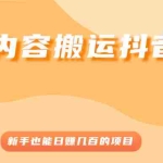 (2503期)知乎内容搬运抖音玩法,新手也能日赚几百的项目