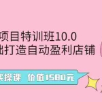 (2497期)虚拟项目特训班10.0,0基础打造自动盈利店铺 36节实操课
