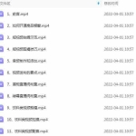 (2468期)短视频拍摄和剪辑技巧:新手零基础玩转短视频