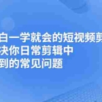 (2467期)小白一学就会的短视频剪辑课,解决你日常剪辑中遇到的常见问题