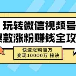 (2465期)玩转微信视频号爆款涨粉赚钱全攻略,快速涨粉百万 变现10000万 秘诀