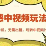 (2461期)北北情感中视频玩法,一部手机,无需出镜,玩转中视频计划