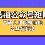 (2459期)蓝海公众号矩阵:普通人也能赚钱的公众号玩法,月入过N万