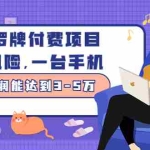 (2449期)塔罗牌付费项目,0风险,一台手机,月利润能达到3-5万(价值1000元)