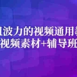 (2420期)波妞波力的视频通用教程+视频素材+辅导班