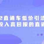 (2415期)2022直通车低价引流玩法,教大家如何低投入高回报的直通车玩法
