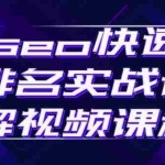 (2412期)seo快速排名实战讲解视频课程,揭秘seo快排原理