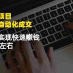 (2411期)虚拟图集项目:矩阵站群自动化成交,3-5个月 实现快速赚钱 月入1W+左右