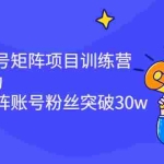 (2405期)蓝海公众号矩阵项目训练营,0粉冷启动,公众号矩阵账号粉丝突破30w