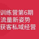 (2351期)IP变现训练营第6期:教你搞流量新姿势,IP打造获客私域经营