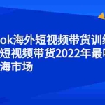 (2347期)TikTok海外短视频带货训练营,全球短视频带货2022年最吸金的蓝海市场