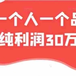 (2343期)某公众号付费文章:一个人一个品月纯利润30万的蓝海电商经典案例!