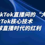 （2339期）2022TikTok直播间的“大学问”掌握TikTok核心技术 抓住全球直播时代的红利