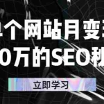 （2332期）单个网站月变现100万的SEO秘密：如何百分百做出赚钱站点