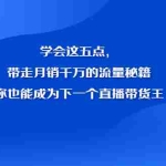 (2326期)学会这五点,带走月销千万的流量秘籍,你也能成为下一个直播带货王