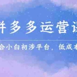 (2323期)拼多多运营课,适合小白初涉平台,低成本入门 创造销量和利润的方法
