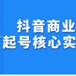 (2309期)抖音商业IP起号核心实操课,带你玩转算法,流量,内容,架构,变现