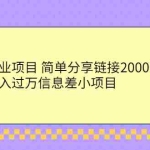 (2302期)网赚副业项目 简单分享链接2000美元/月+几个月入过万信息差小项目