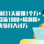 (2251期)知识付费项目1天能赚1个万+一天被动引流1000+精准粉+小白闲鱼卖货月入过万