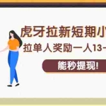 (2238期)虎牙拉新短期小项目:拉单人奖励一人13-20块,能秒提现!