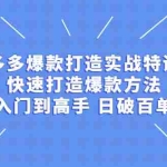 (2237期)拼多多爆款打造实战特训营:快速打造爆款方法,从入门到高手 日破百单