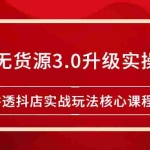 (2276期)雷子抖店无货源3.0升级实操玩法:讲透抖店实战玩法核心课程