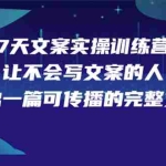 (2274期)7天文案实操训练营第17期,让不会写文案的人,写出一篇可传播的完整文案